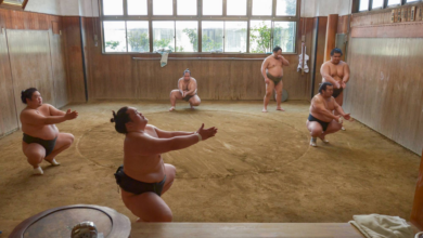 How do sumo stables work