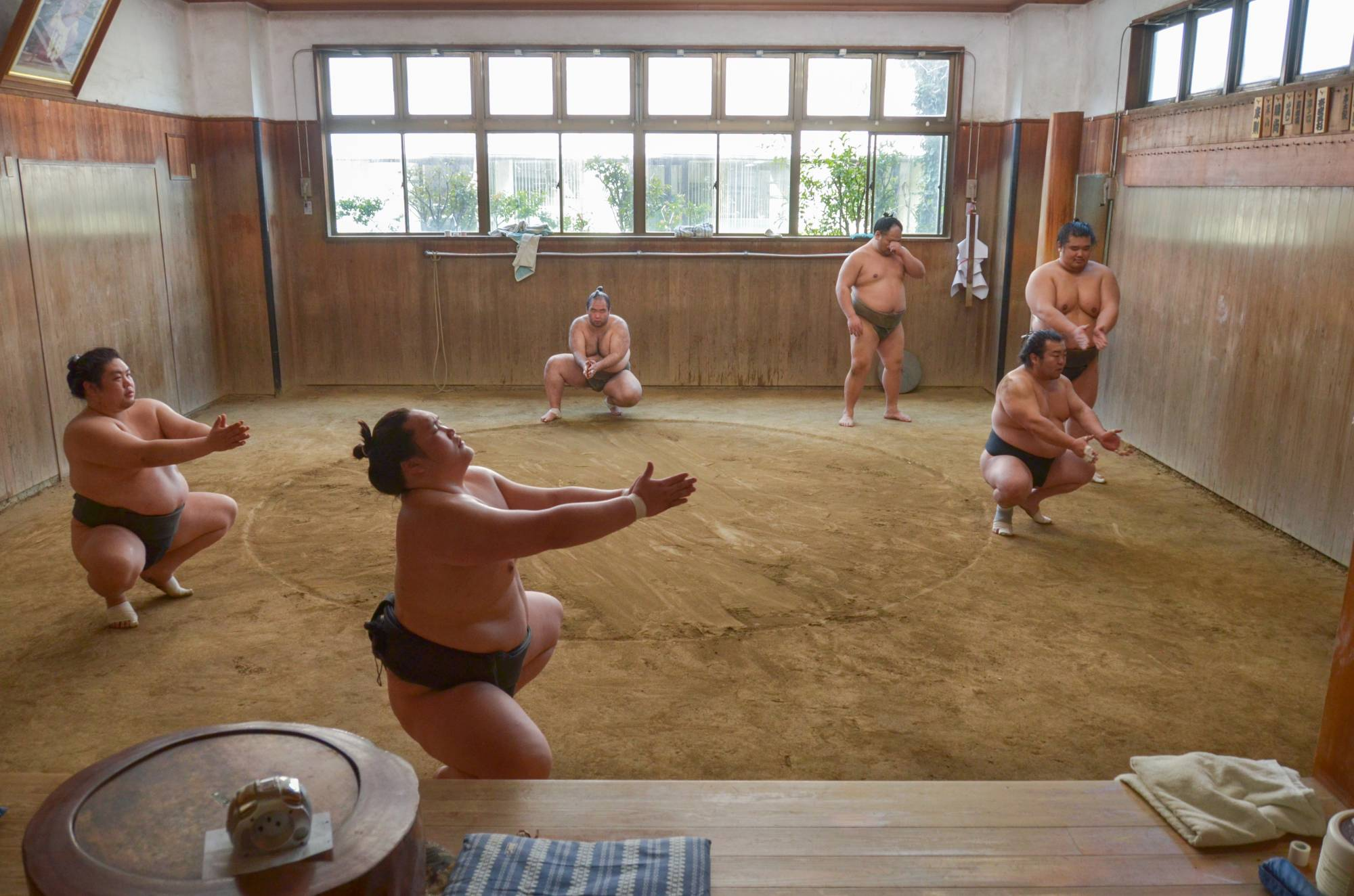 How do sumo stables work